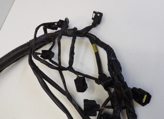 Kabelboom Triumph Sprint ST 1050