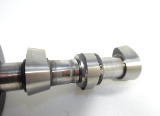 Nokkenas Aprilia Pegaso