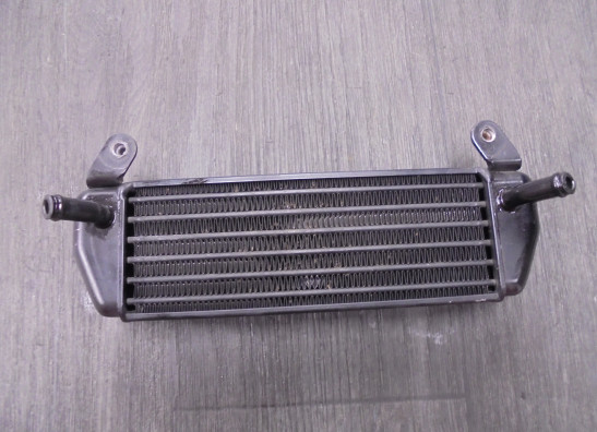 Oliekoeler BMW R 1200 GS 2003-2007