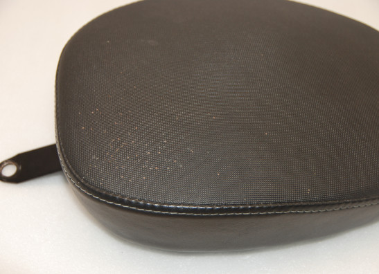 Buddy zadel Harley Davidson Sportster