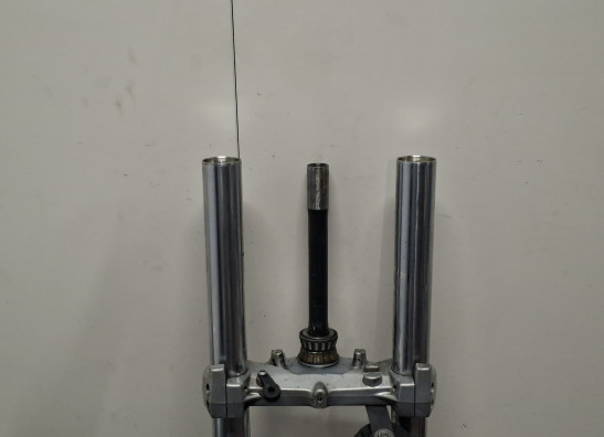 Voorpoten compleet BMW F 800 S - ST