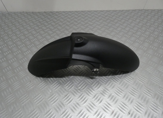 Front fender BMW K 1300 R