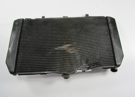 Kuhler Kawasaki Z 1000