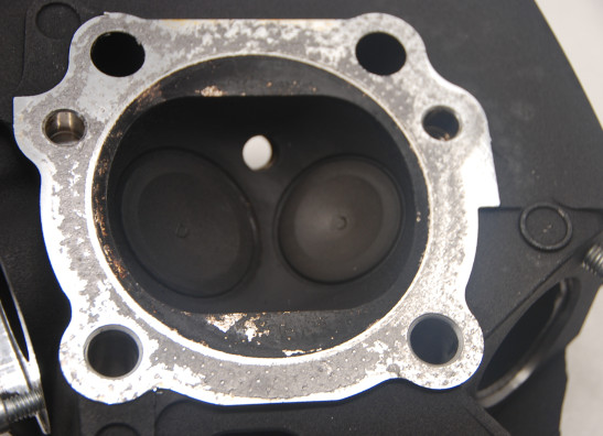 Cylinder head Harley Davidson Softtail