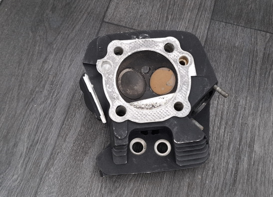 Cylinder head Harley Davidson FLSTF Fat Boy Lo