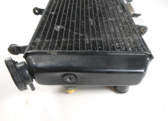 Radiateur Suzuki DL 650 V STROM