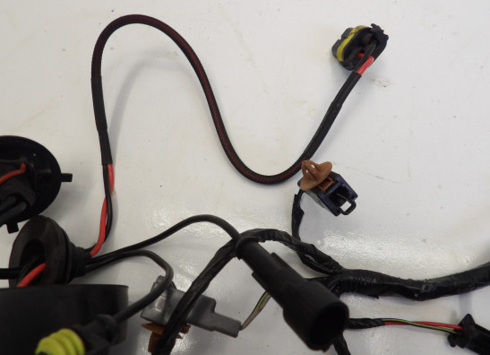 Kabelboom voor Kawasaki ZX 12 R