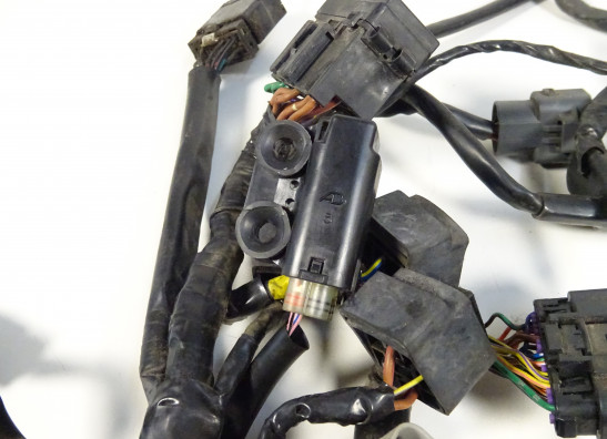 Kabelboom Triumph Tiger 1050