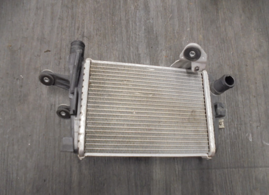 Radiateur BMW R 1200 GS LC Adventure
