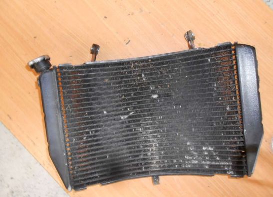 Radiator Yamaha YZF R1