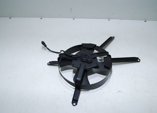 Fan Kawasaki ZX 9 R