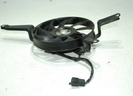 Fan Kawasaki ZX 10 R