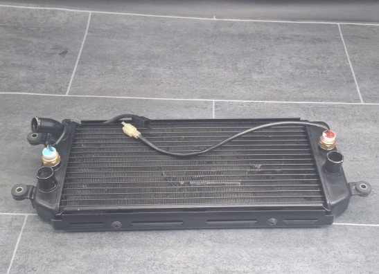 Radiator Suzuki VZ 800 marauder