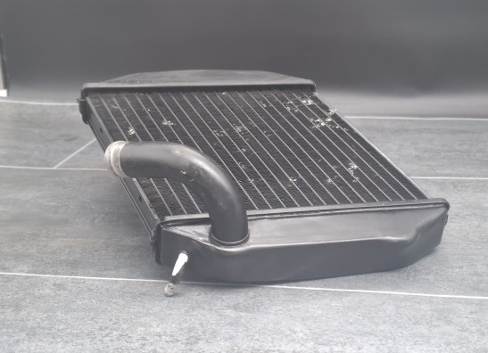 Radiateur Buell 1125 R