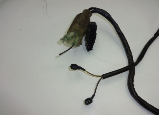 Wire Harness Honda CBR 1100 XX