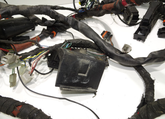 Kabelboom Aprilia Tuono 1000