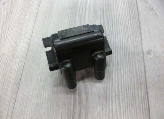 Bobine BMW R 1150 R 2001-2005