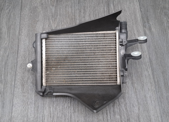 Radiator BMW R 1250 GS Adventure