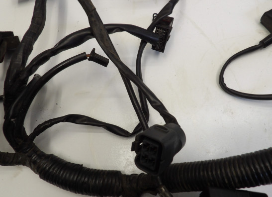 Kabelboom Triumph Sprint ST 1050