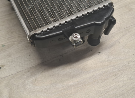 Radiateur BMW R 1200 GS LC Adventure