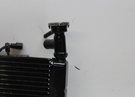 Radiateur Triumph Daytona 675 