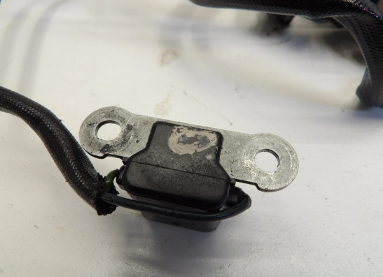 Dynamo Suzuki VS 700 Intruder