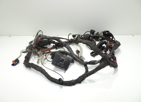 Kabelboom Aprilia Tuono 1000