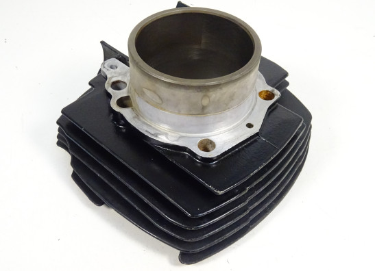 Cilinderblok Ducati monster 600