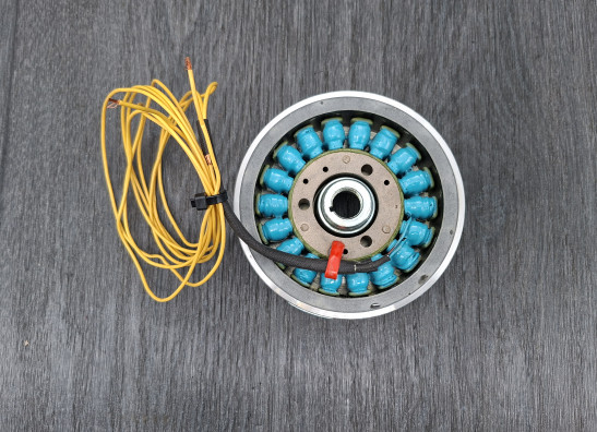 Dynamo Kawasaki Z 1000