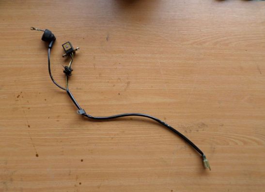 Pickup coil Kawasaki ZX 9 R