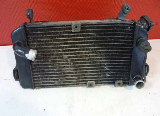 Radiateur Suzuki SV 650