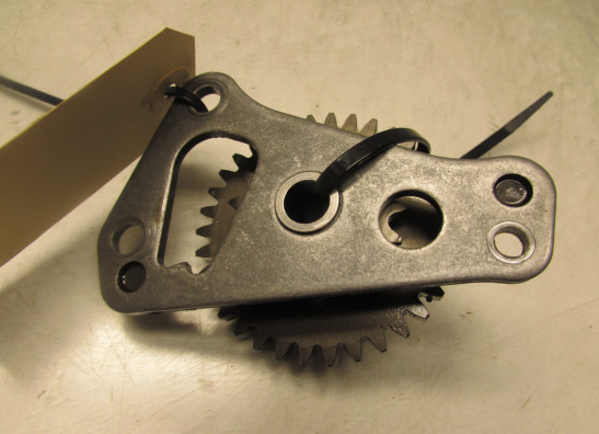 Motorblok diverse Aprilia Tuono 1000