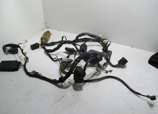 Wire Harness Honda Deauville 650 - 700