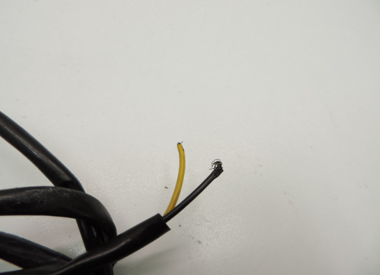 Impulsgeber Kawasaki ZX 10 R