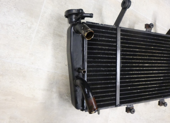 Radiateur Triumph Sprint ST 955