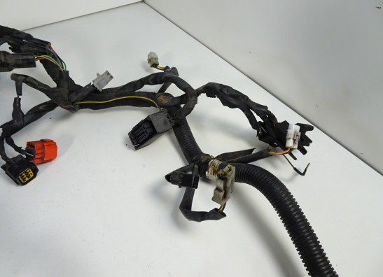 Kabelboom KTM 125 Duke