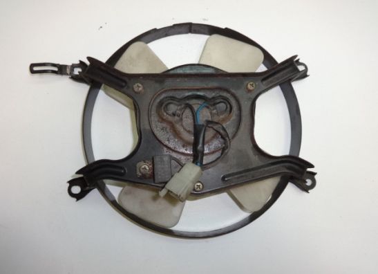 Fan Honda Goldwing GL