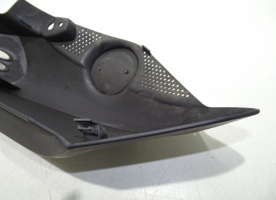 Kanzel links BMW K 1200 R 