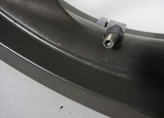 Voorvelg Ducati monster 600