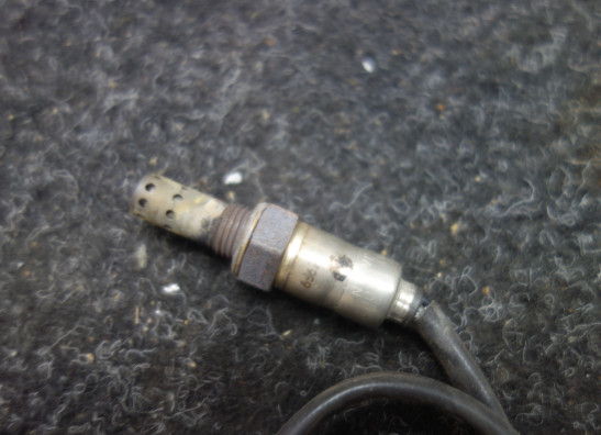 Lambda sensor Triumph Tiger 800 xc