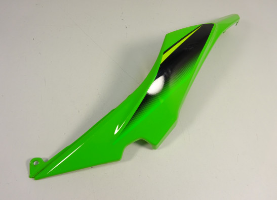 Linker achterkant Kawasaki Ninja 650
