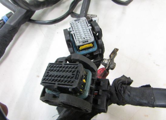 Kabelboom voor Ducati ST4