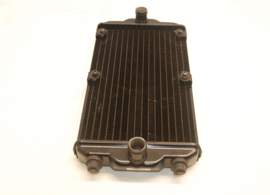 Radiateur Harley Davidson XG750 Street 750