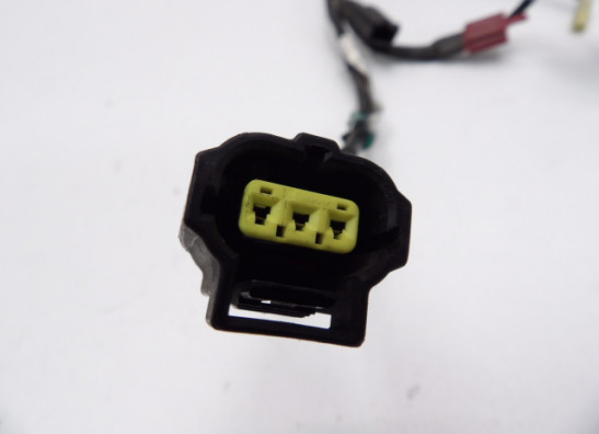 Wire harness front Honda CBR 600 F