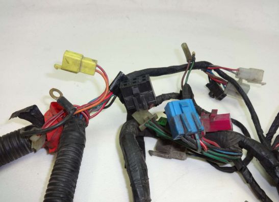 Wire Harness Yamaha FZ 750