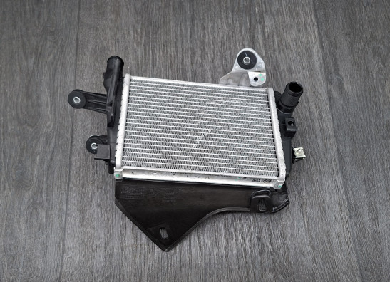 Radiateur BMW R 1250 GS