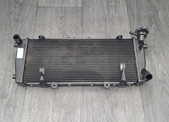 Radiateur BMW R 1250 R