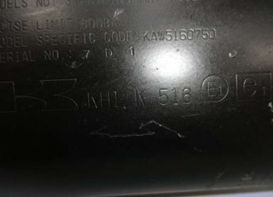 Auspuff Kawasaki Z 750