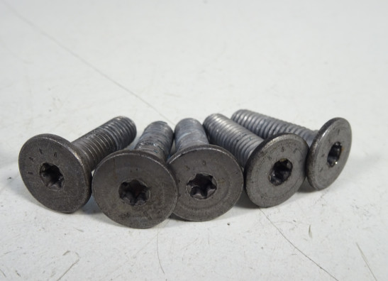 Bremsscheibenset BMW R 1200 R