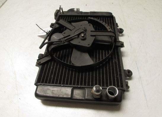 Radiator Kawasaki ZX 6 R